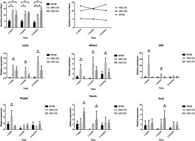 Corrigendum: Preliminary study on mesenchymal stem cells in repairing nerve injury in pelvic floor denervation